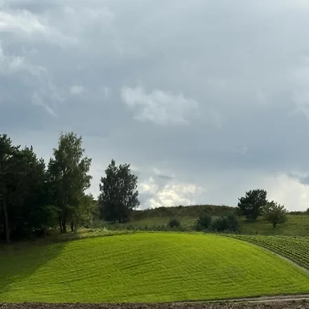 Dom Na Kaszubach - Aura Kaszub - Nature&lake View Laczyno